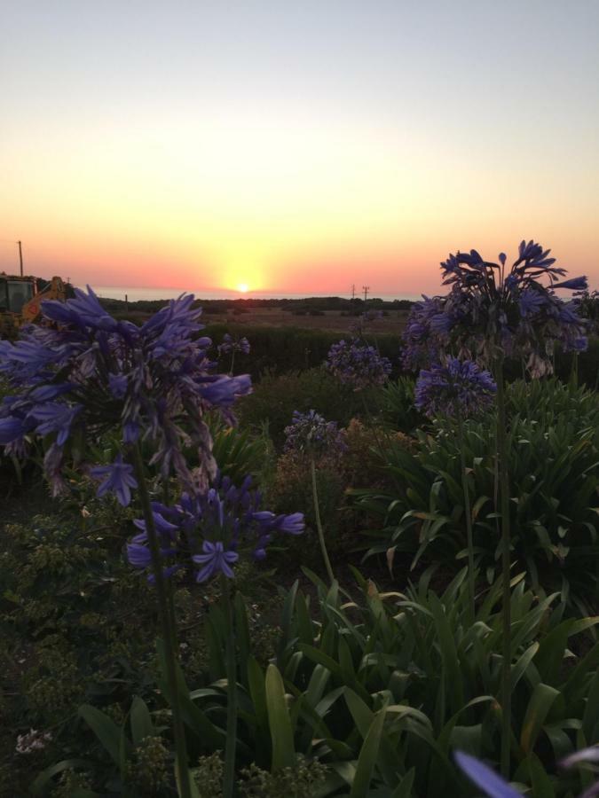 Herdade Do Pessegueiro ポルト・コーヴォ エクステリア 写真